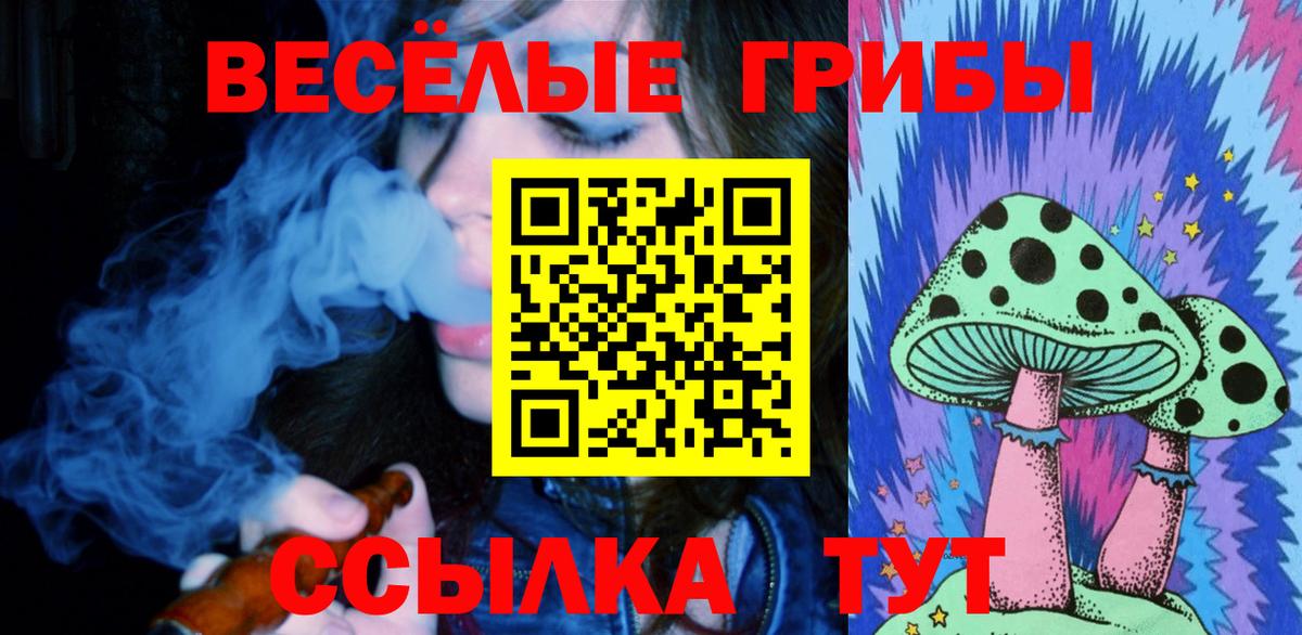 Галлюциногенные грибы ЛСД  Псилоцибиновые грибы ЛСД  Вход с VPN  Усть-Илимск 