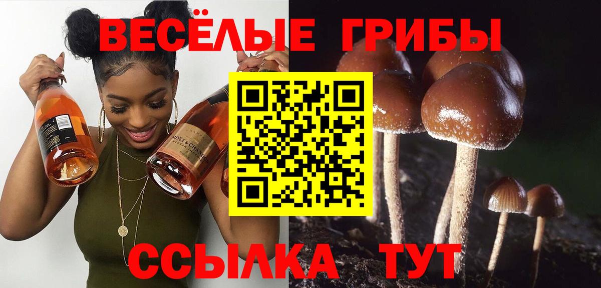 Галлюциногенные грибы MAGIC MUSHROOMS Усть-Илимск